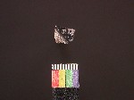L_V19d8282 J1q1095.2 Ux09 dM la f237 obsidian.jpg L_V19d8282 J1q1095.2 Ux09 dM la f237 obsidian